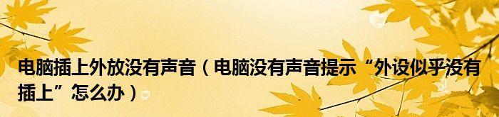 笔记本电脑无声问题分析与解决（为什么我的笔记本电脑没有外放声音）