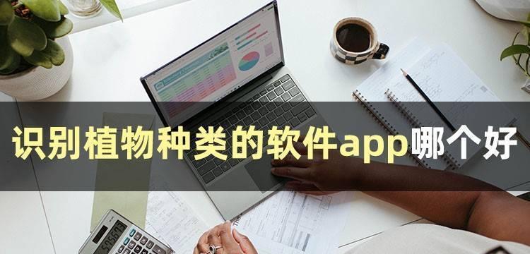 从无到有（探索APP开发的关键步骤与技巧）