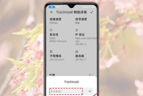 手机上改WiFi密码的简易教程（用手机轻松管理您的WiFi连接）