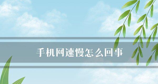 手机网络不稳定怎么办（应对手机网络不稳定的有效方法）