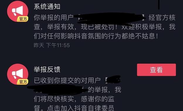 轻松提取抖音视频无水印的软件推荐（解放你的视频分享）