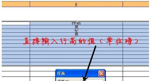如何调整表格的行高和列宽（Excel高级技巧教程）